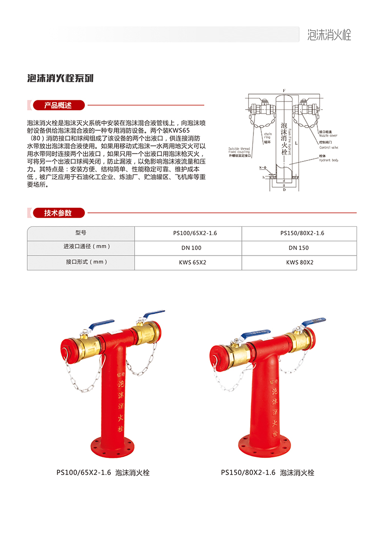 PS100/65X2-1.6泡沫消火栓