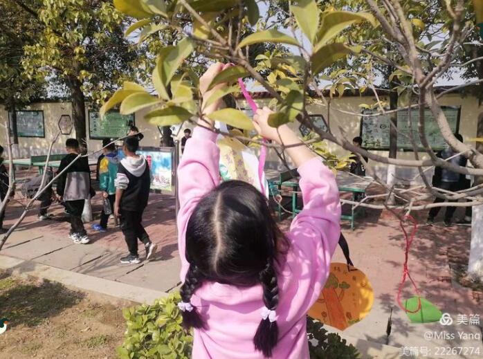 浇一棵小树，绿一方净土—中南学校植树节浇树活动