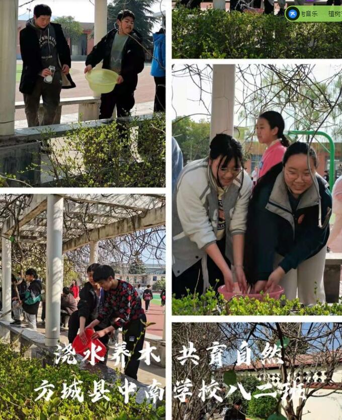 浇一棵小树，绿一方净土—中南学校植树节浇树活动