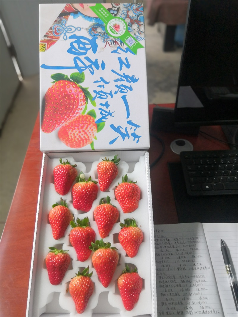 包装好的红颜草莓