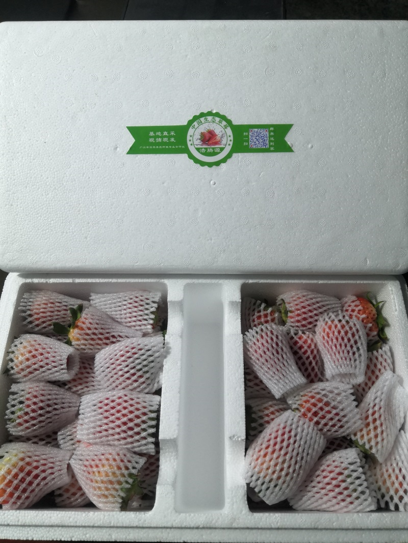 包装好的红颜草莓