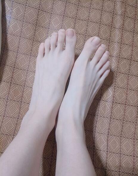 袜子