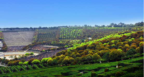 1650086183437863.png 莲花公墓介绍