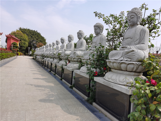 1650087097732215.png 院山公墓简介