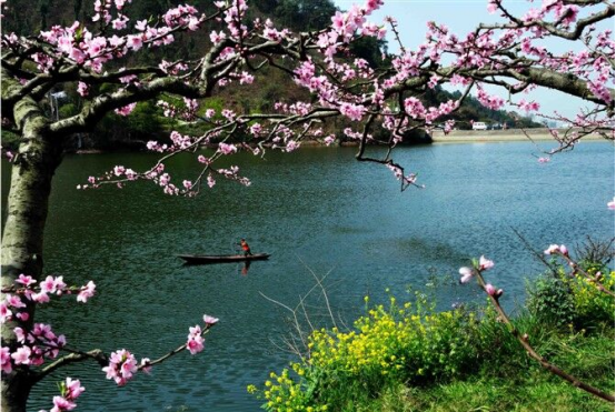 1650087263841129.png 长松寺公墓简介