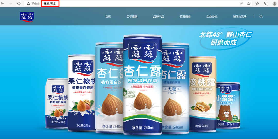 中文域名