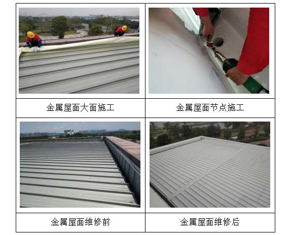 漳州市某总部大楼钢结构屋面修缮项目（办公楼）