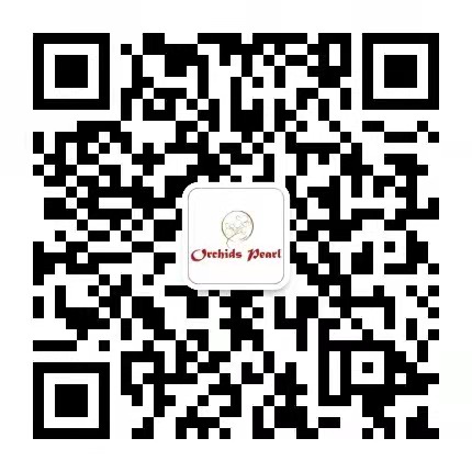 线下实体店