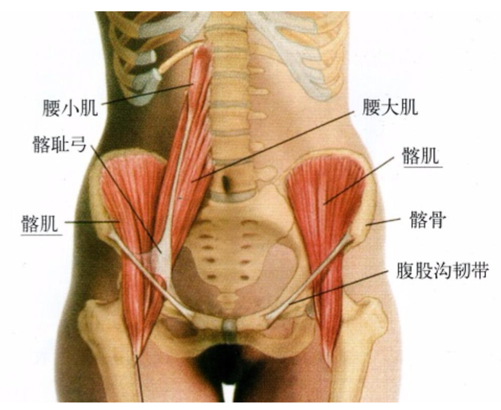 健骼宁