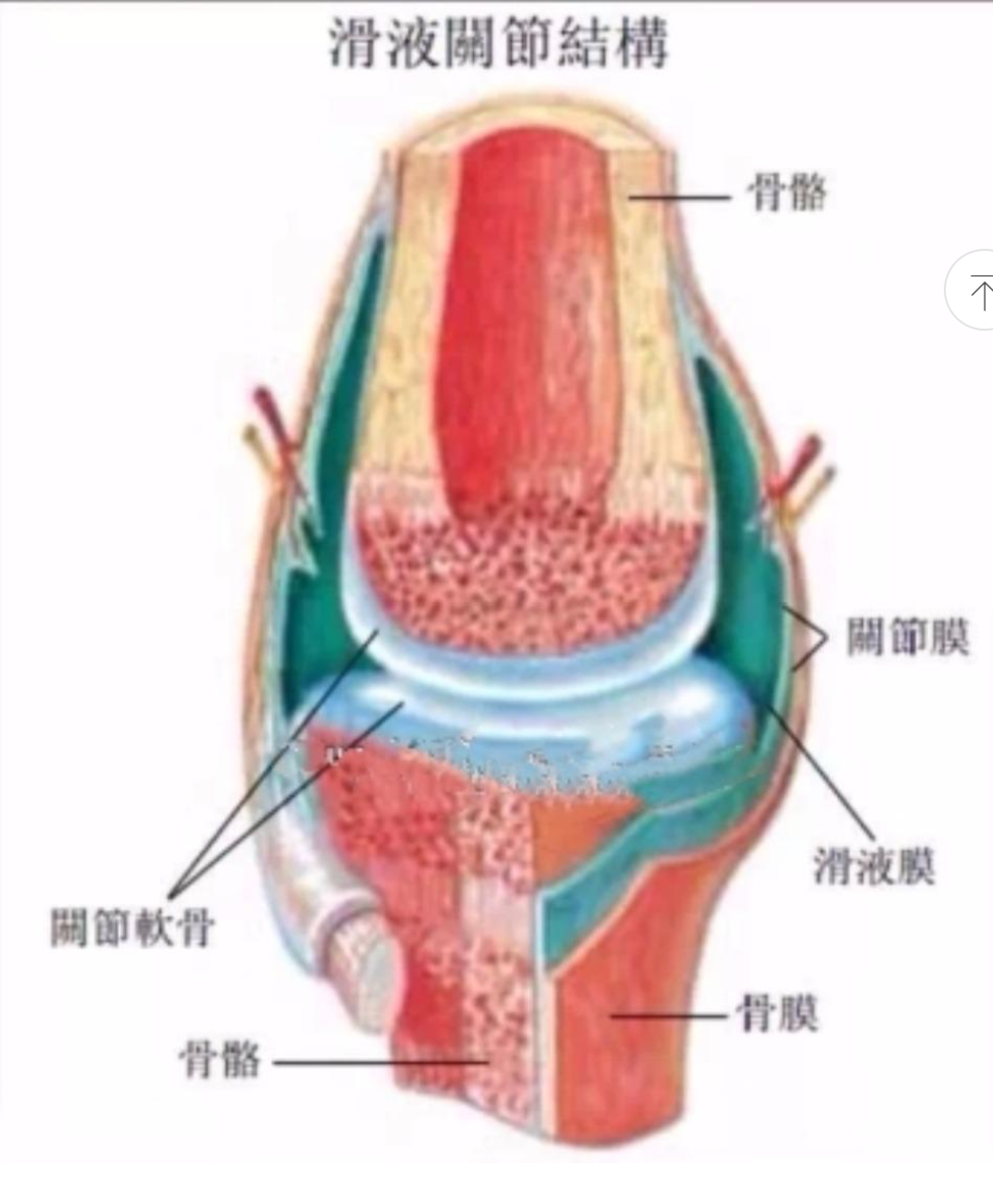 健骼宁