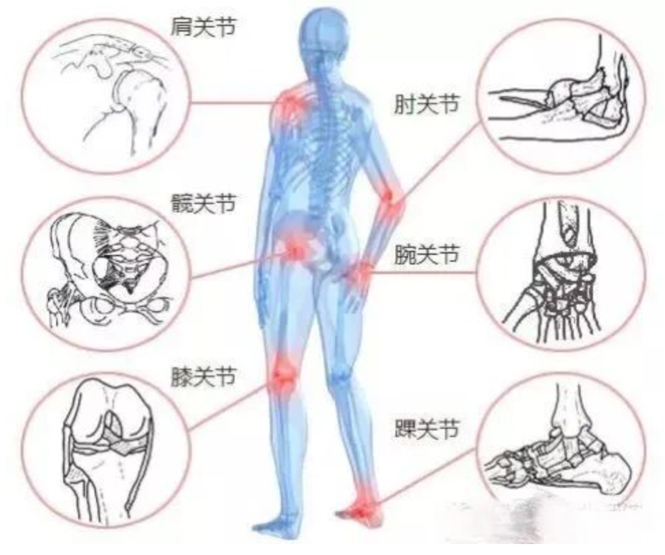 健骼宁