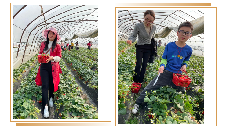 “莓”开眼笑踏青来——余杭湖南商会三八妇女节草莓摘采活动