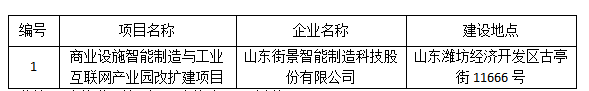 山东街景智能制造科技股份有限公司 商业设施智能制造与工业互联网产业园改扩建项目