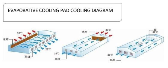 EVAPORATIVE COOLING PAD