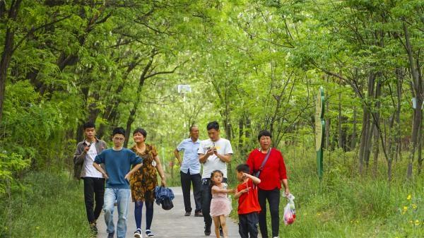 永寿第十九届槐花旅游文化节