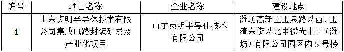 山东贞明半导体技术有限公司集成电路封装研发及产业化项目