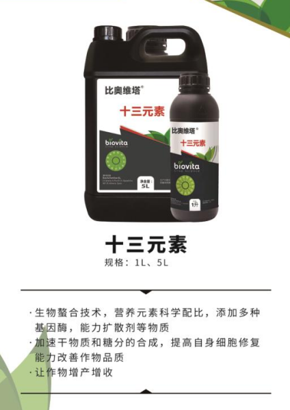 比奥维塔十三元素