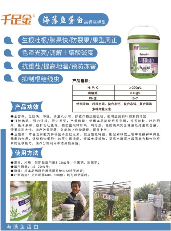 千足金海藻鱼蛋白