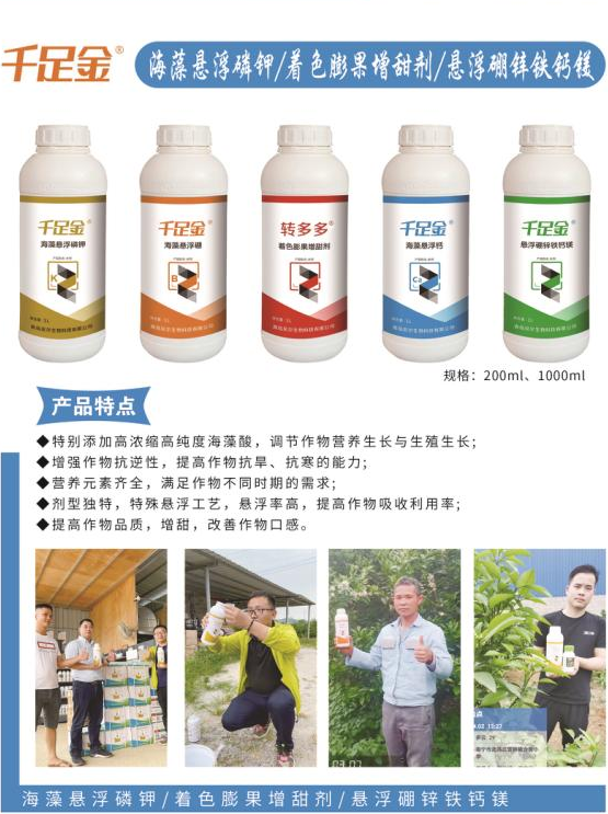 千足金悬浮硼锌铁钙镁