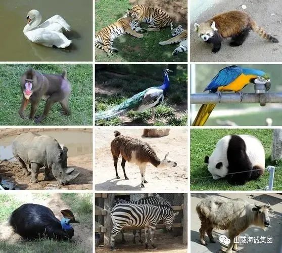 威海及周边纯玩小包团