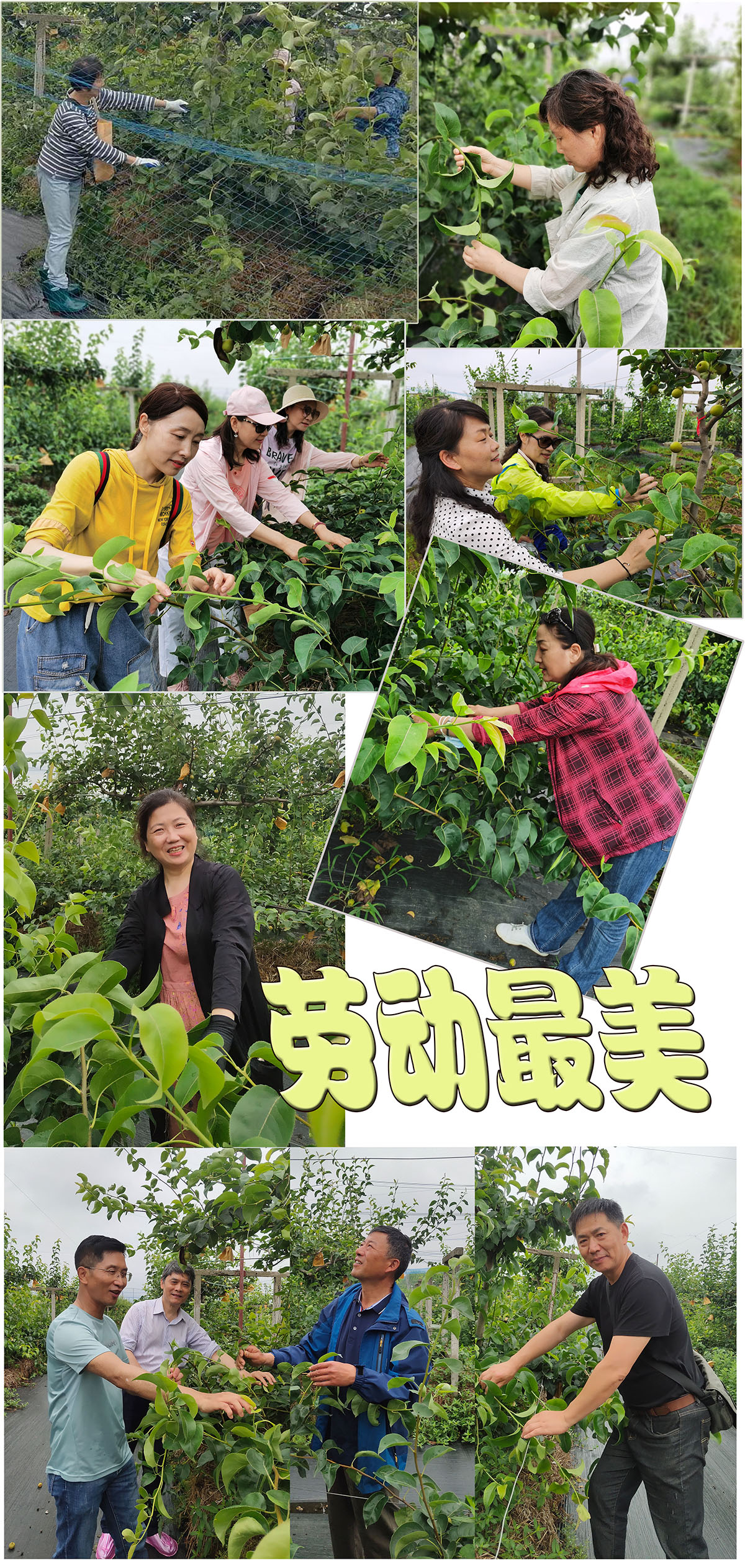 梨园清歌