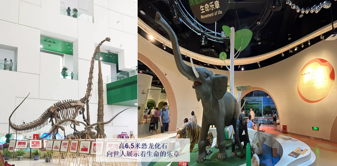 从北京，开启正合方略2022年下半年游学计划！