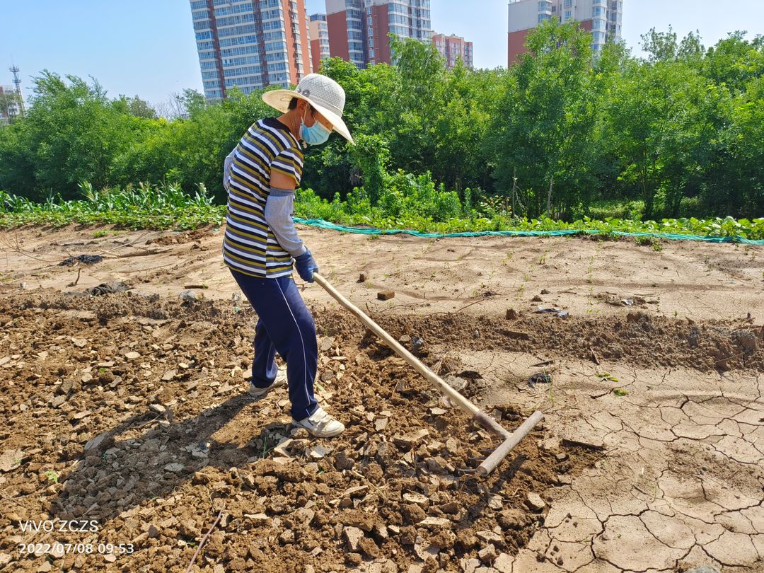 元泰市政