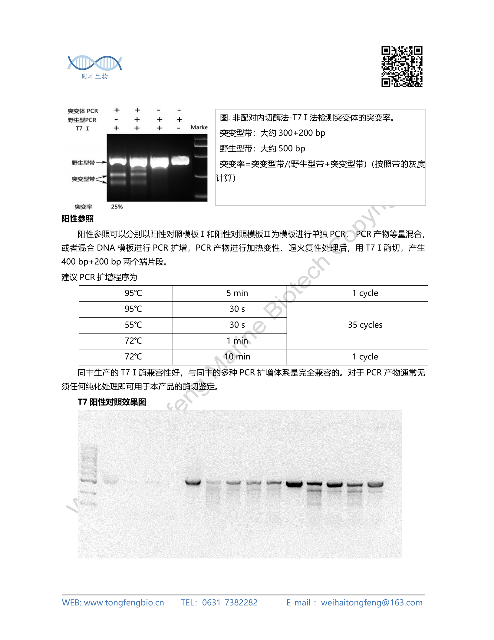 威海同丰生物