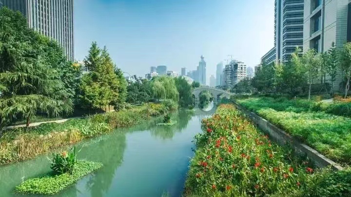 河流常见水生植物特性及种植配置建议