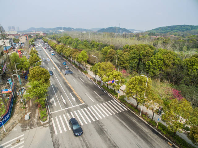 森林大道（三环线-武鄂高速）道路排水工程竣工环境保护验收技术服务