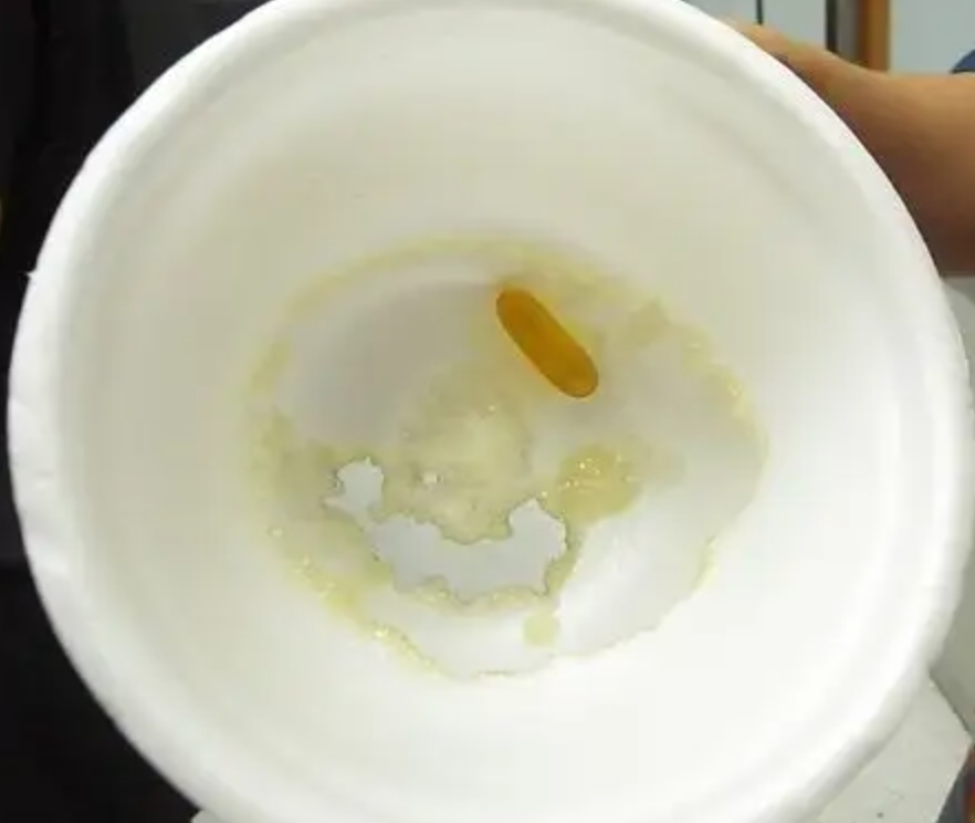 鱼油