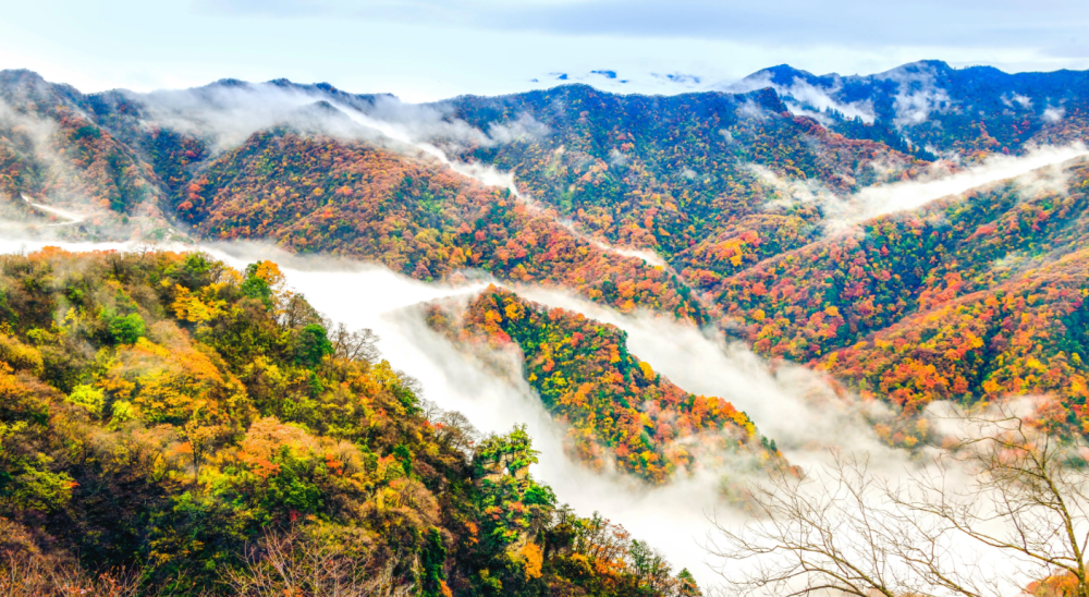 光霧山