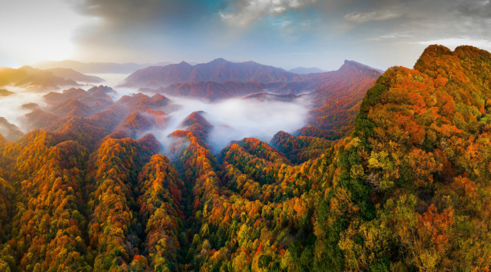 光霧山