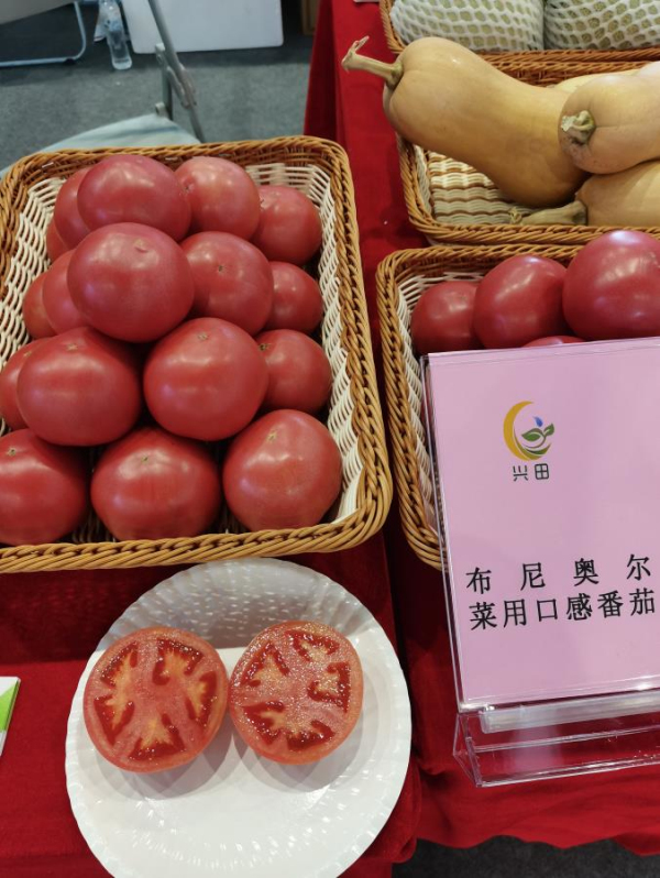 优良的西红柿品种——布尼奥尔
