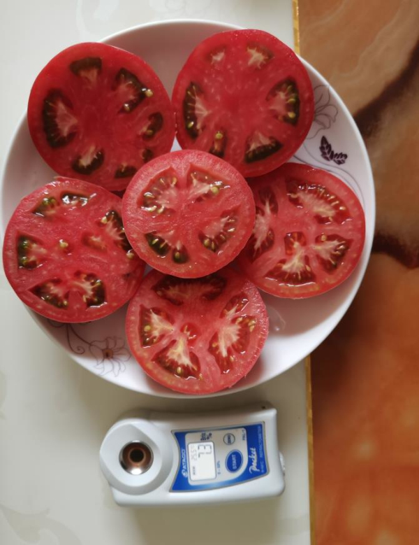 1664331085990582.jpg 优良的西红柿品种——布尼奥尔