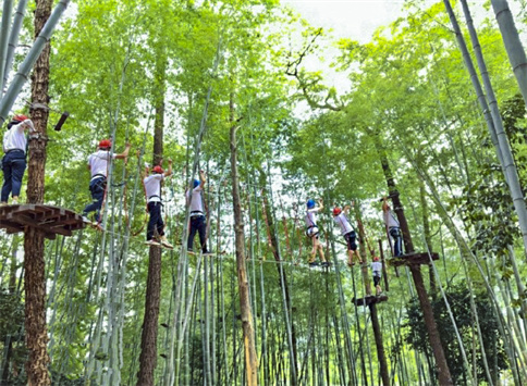 丛林树上探险乐园