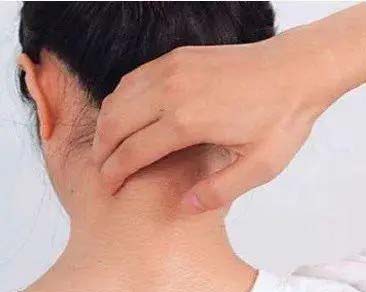 唐山蜂蜜膏药贴供应商 唐山蜂蜜膏药贴供应商