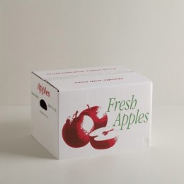 水果包装纸箱