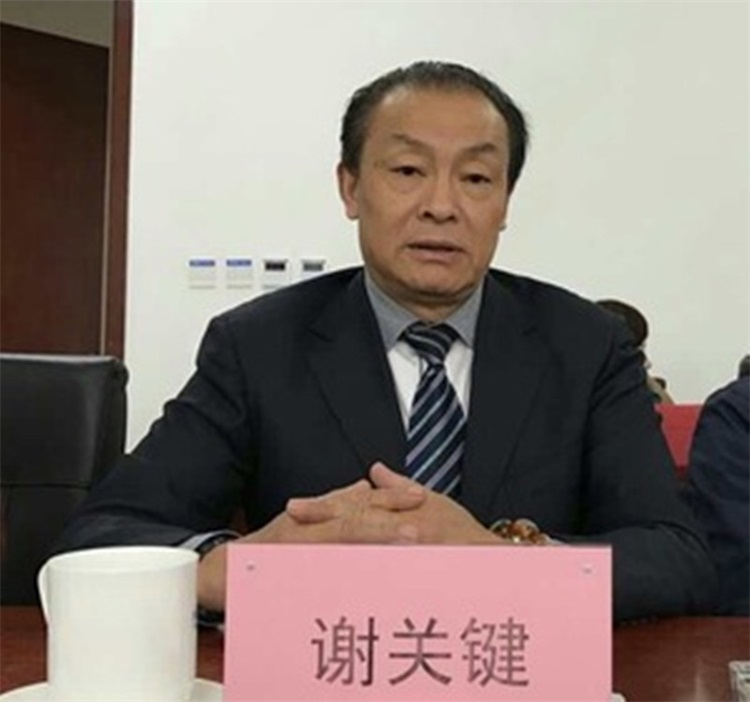 艺术品高级鉴定师