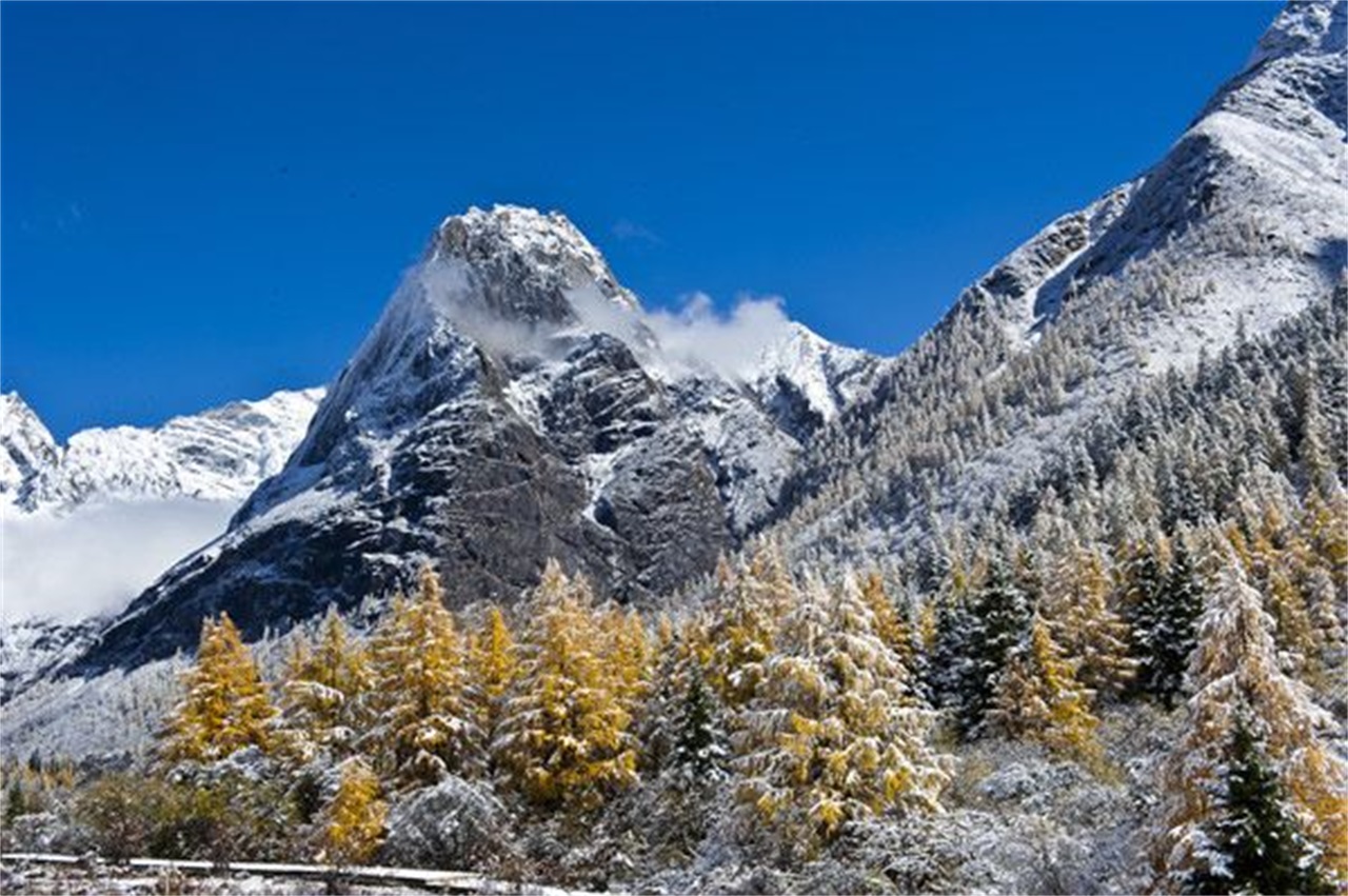 四姑娘山