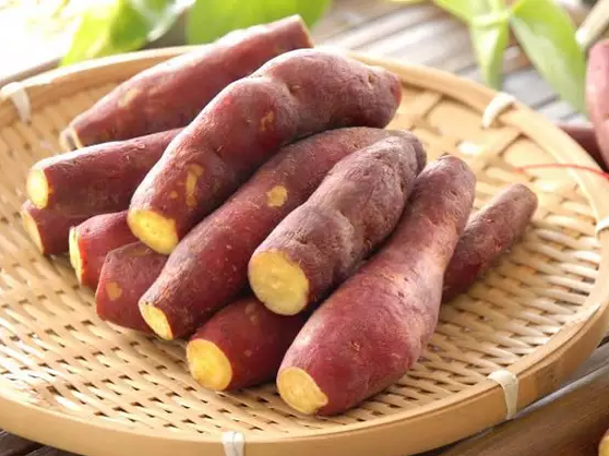 红薯