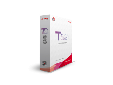 T+cloud普及财务版