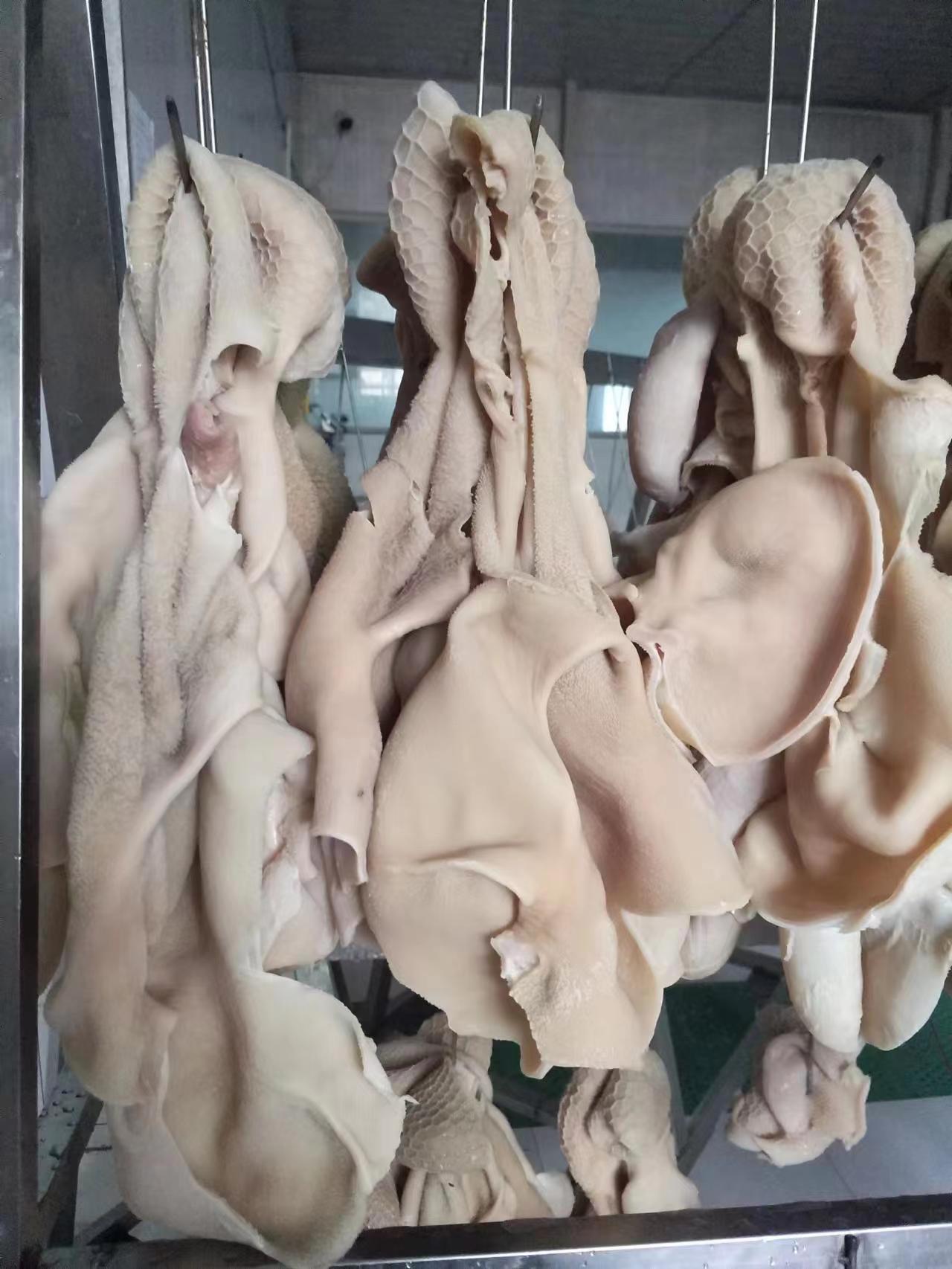 新西兰羊肚