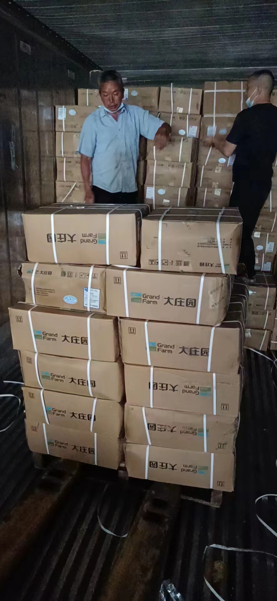 羊净肚  10卷x2.5kg  产地：内蒙
