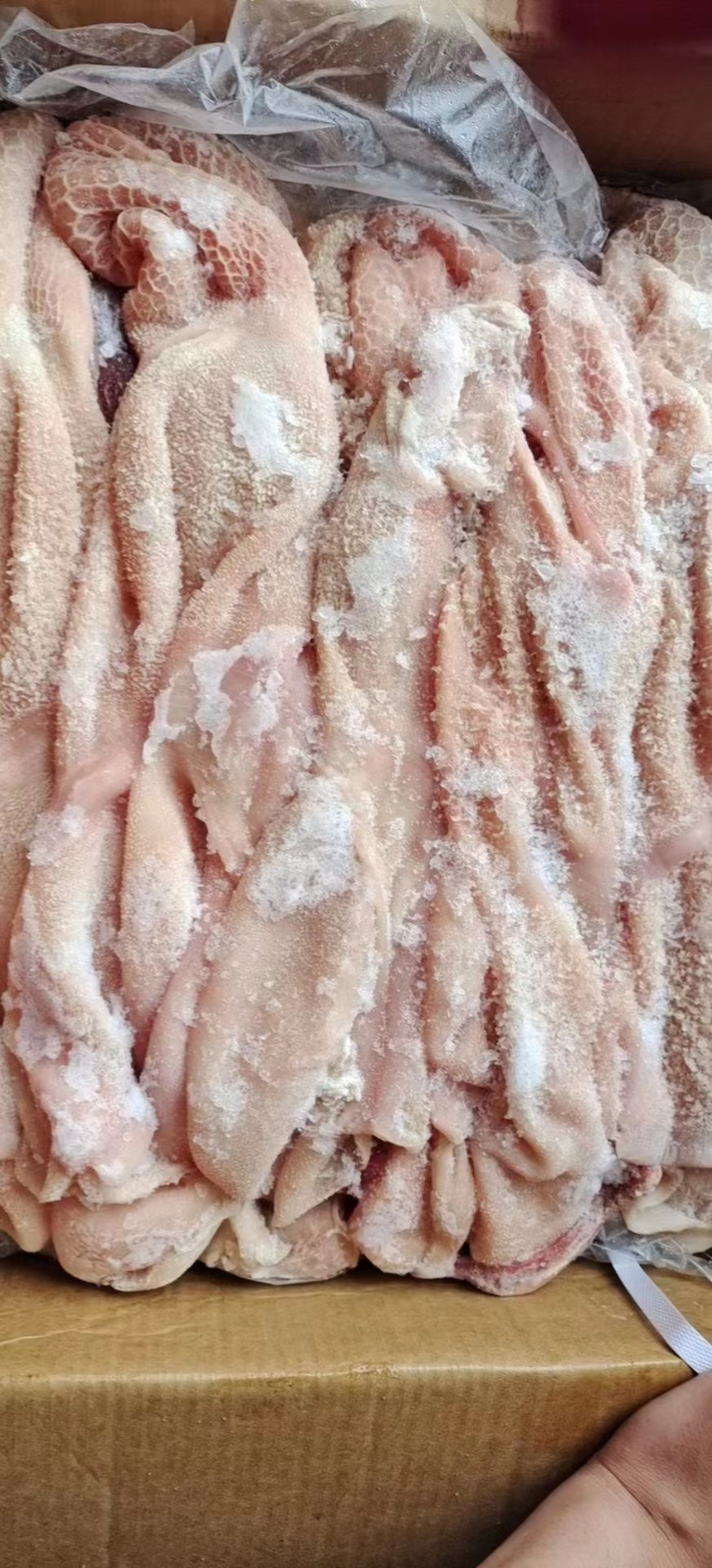 羊净肚 2板×10kg 产地：河南