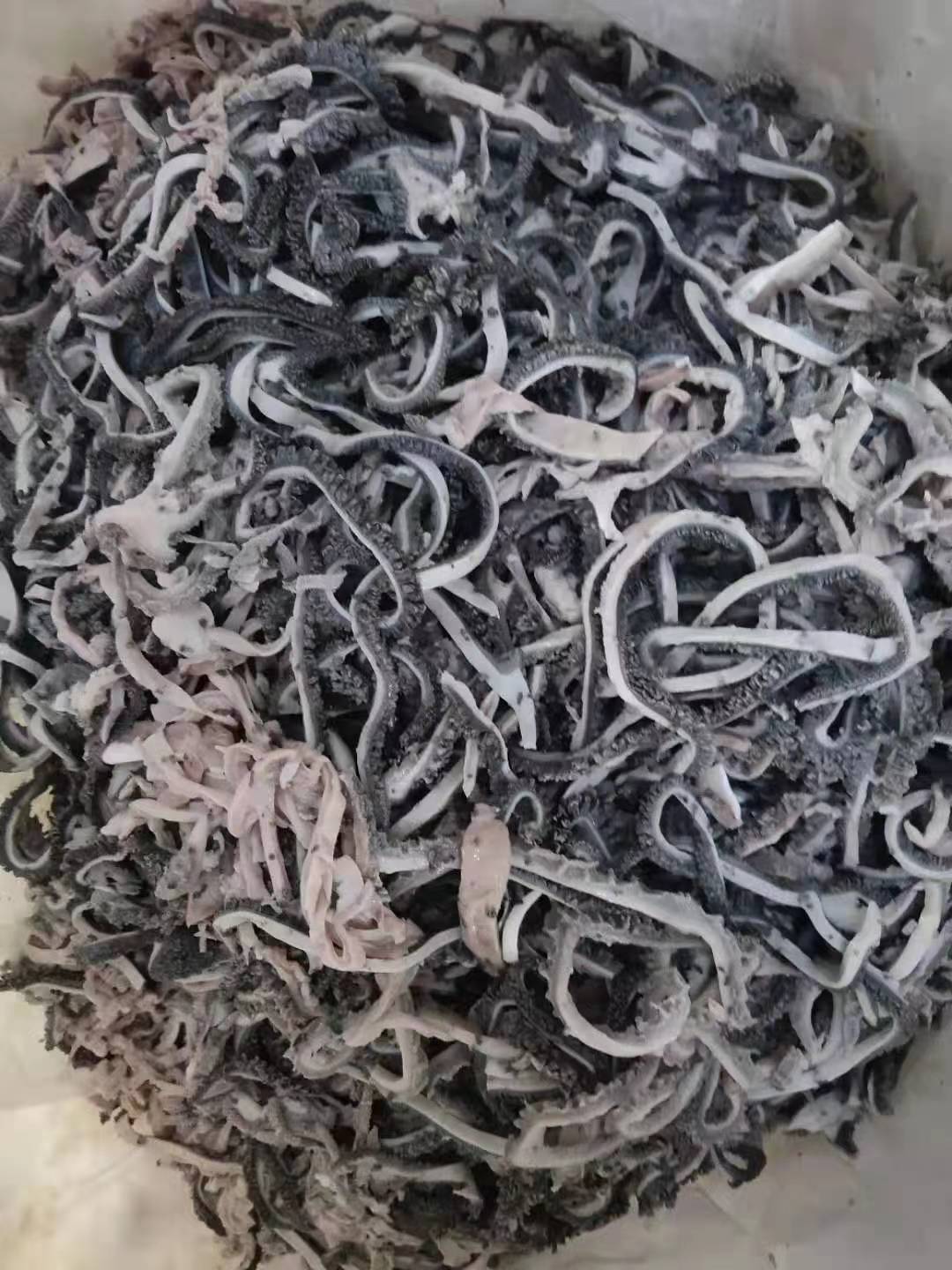 羊毛肚