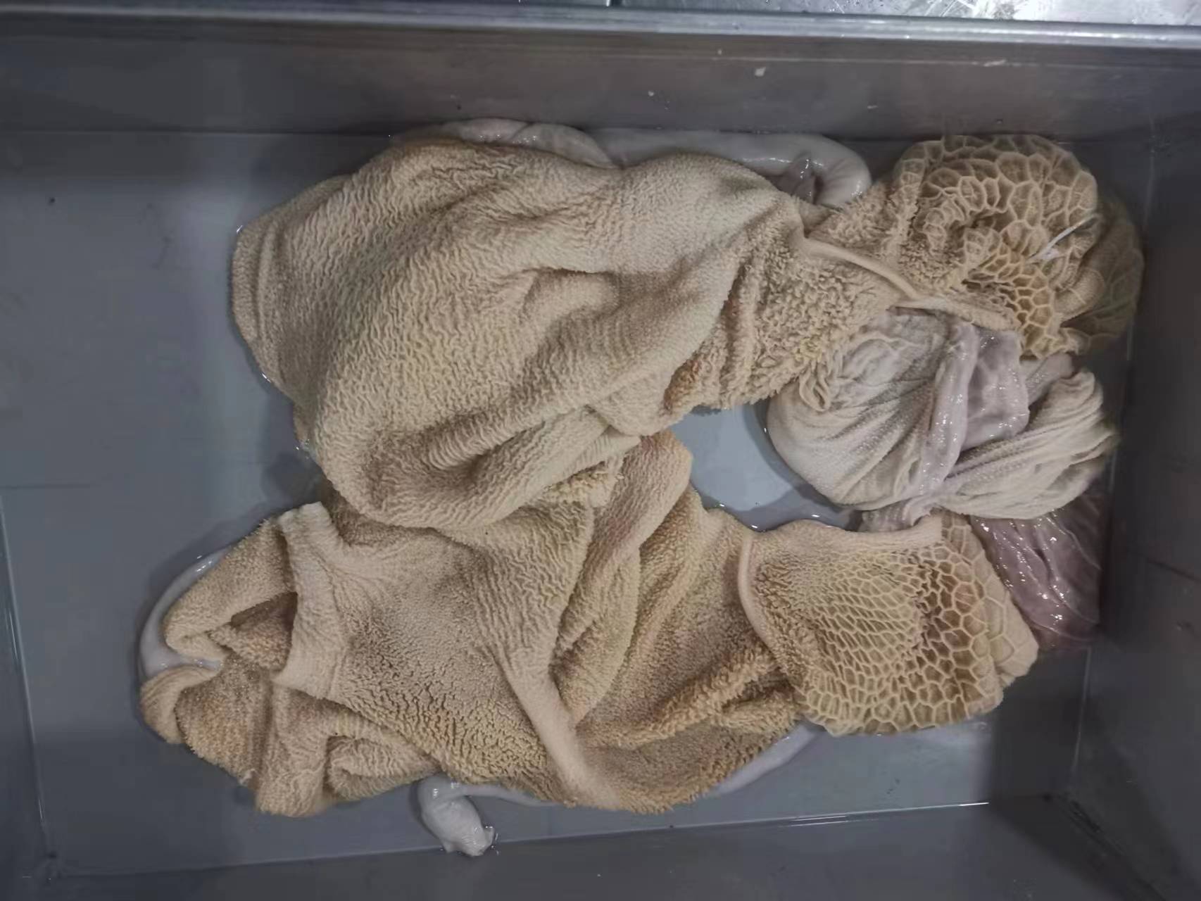 羊毛肚