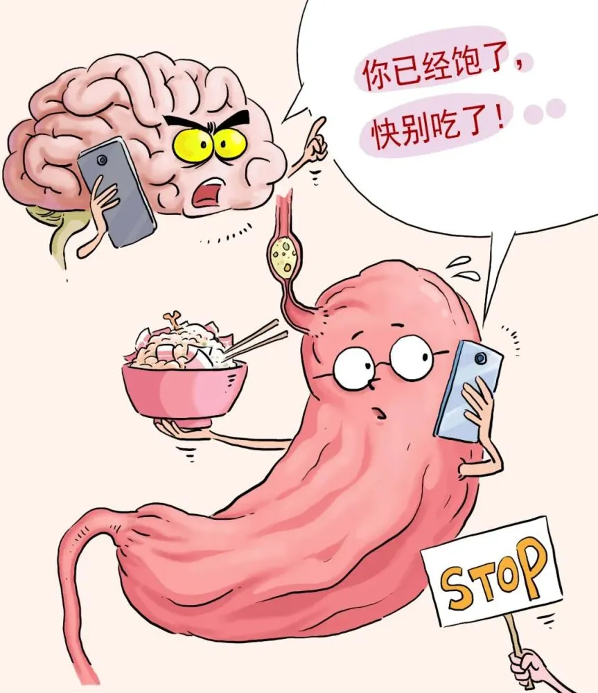 消化道胃
