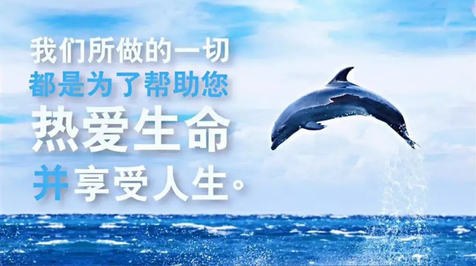 消化道胃
