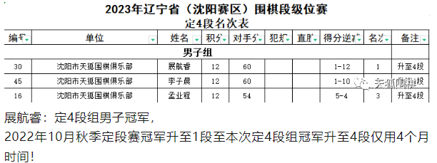 天狐围棋